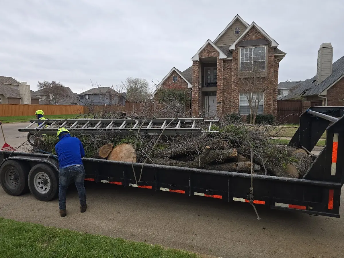 Expert Tree Removal with proper safety equipment in Lake Harmony